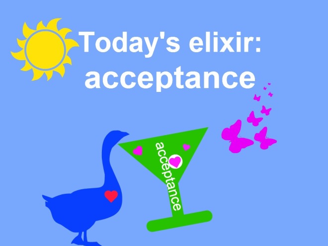 elixir acceptance